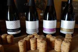 Cava tasting