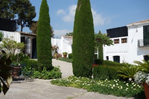 Cava tasting2