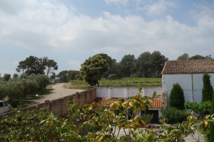 Cava tasting3